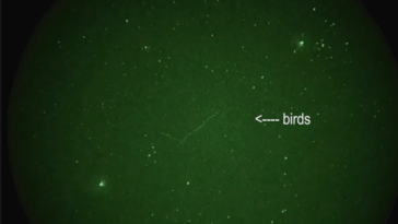 Screenshot 2024 05 07 200349