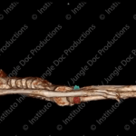 A 3d Scan of Peru Alien Mummy "Tridactyl" Videos of UFOs and UAP Sightings Screenshot 2024 05 09 193151