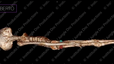 Screenshot 2024 05 09 193151