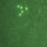 Possible TR3b captured with nightvision Videos of UFOs and UAP Sightings Screenshot 2024 05 21 212101
